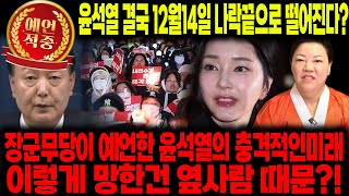 계엄을 일으킨 윤석열 결국 12월 14일 나락끝으로 떨어진다 신점으로 본 윤석열 대통령의 미래 [upl. by Latvina496]