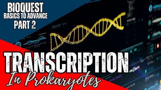 Transcription in Prokaryotes  Part 2  Transcription  CSIR NET December 2024  Basics to Advance [upl. by Atselec]