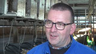 Ronald Rongen of LSSE Low Stress Stockmanship Europe on a modern dairy farm in the Netherlands [upl. by Nirok]