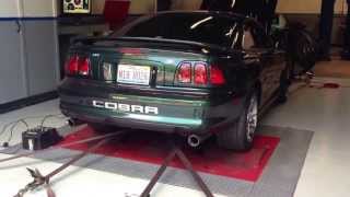 Cammed 96 cobra dyno run and tune [upl. by Ayahsal459]