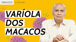 O que sabemos até agora sobre a varíola dos macacos [upl. by Rol]