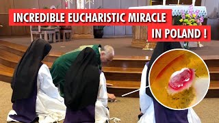 A Priest dropped the Eucharist on the Floor what He Saw Next is Shocking [upl. by Tavia33]