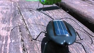 Solar Energy Bugs with Mini Photovoltaic cells [upl. by Aldo]