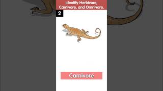 Identify the Herbivores Carnivores and Omnivores  Quiz Time  Science Quiz for Kids [upl. by Avin]