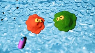 The Two Amoebas 1 The World Around Us Claymation [upl. by Delmer]