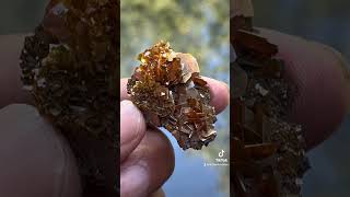 Wulfenite flowergemstone fineminerals wulfenite mineralspecimen [upl. by Susejedesoj]