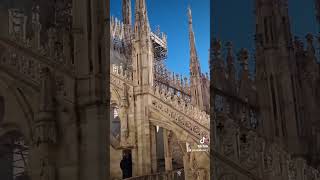 milan milano milanfashionweek duomo duomomilano italy amazing volg love lovely fun great [upl. by Merari396]