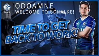 Welcome to Schalke Odoamne [upl. by Lanti]