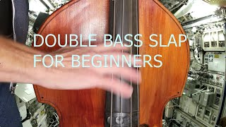 Rockabilly Double Bass slap tutorial for beginners from the International Slap Station [upl. by Morville]