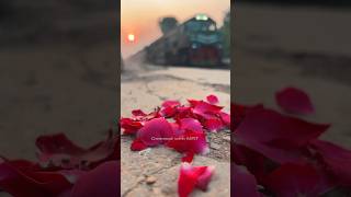 Train with Red Roses 🌹🚂 train viral shorts fyp [upl. by Tnahsarp]