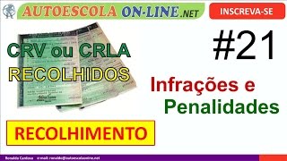 Infrações e Penalidades  Recolhimento Documento Veículo CRV e CRLV  Media Administrativa [upl. by Divine]