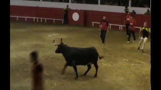 PlaisanceduGers Interville PlaisanceAignan 16 juillet 2016 avec des vaches de JeanLouis Deyris [upl. by Evelunn]