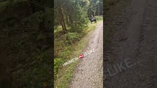 funnyshorts dressage dressurpferd nature austria ausreiten [upl. by Melina]