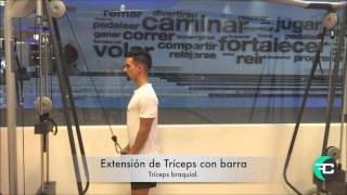 Extensión de Tríceps con barra [upl. by Kurr]