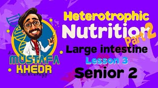 Biology  heterotrophic nutrition  part 2  large intestine دكتور مصطفي خضر [upl. by Pedrick962]