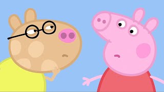 Peppa Pig Nederlands  Oogtest  Tekenfilms voor kinderen [upl. by Amias]