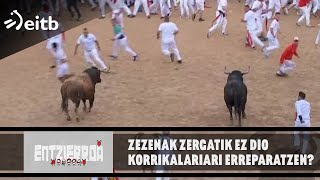 Zezenak zergatik ez dio korrikalariari erreparatzen [upl. by Harahs]