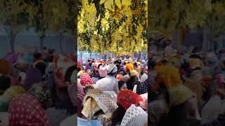 Sab hai tera tera tera sb hai mera mera mera waheguru🌺 🙏❣️🌺😌 [upl. by Dnaltroc]