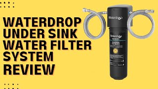 Waterdrop 10UA Under Sink Water Filter System Review Pros amp Cons Explained [upl. by Shiller]