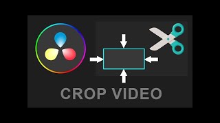 How To Crop Video In Davinci Resolve 18 Crop And Zoom [upl. by Eiralav512]