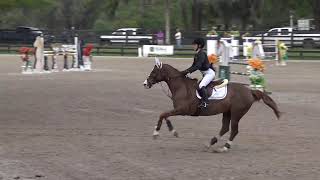 HITS OCALA Classic 25000 AdultChildrens Show Jumping Classic 2016  Hailey Royce  Rapidash [upl. by Rinaldo]