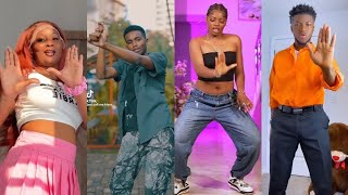 Favourite Girl Remix 🥵 TikTok Dance Challenge Compilation Part 1 by Darkoo ft Rema  Crazy Crazy [upl. by Browne498]