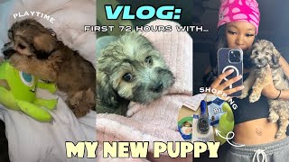 VLOG GETTING A NEW MALTIPOO PUPPY  FIRST 72HRS PUPPY PREP  VET VISIT [upl. by Giliane]