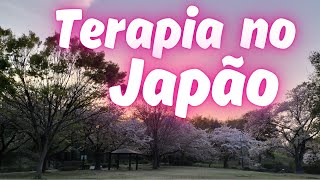 01  TERAPIA NO JAPÃO  HONJO  SAITAMA brasileirosnojapao terapianojapao morandonojapao [upl. by Goulder393]