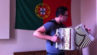 Michel Teló  Ai Se Eu Te Pego  Na Concertina [upl. by Sucramraj]