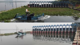 Cleaning the Yamuna river with Cleantec Infras Harvester Skimmer machine [upl. by Derron513]