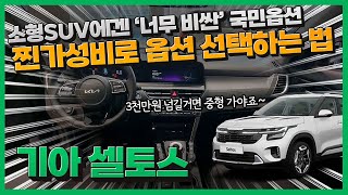 셀토스 국민옵션 소형SUV 가격 치고는 너무 비싸다 찐 가성비 옵션 추천 [upl. by Yvonne12]