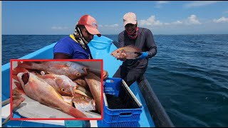 Pesca de Pargos con simbra en Alta mar [upl. by Yentuoc]