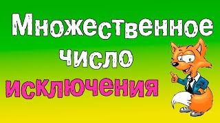 Грамматика английского языкаМножественное число в английском языке Исключения [upl. by Dnomhcir]