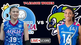 Hisamitsu Springs vs Kurobe Aqua Fairies  VLeague Women Live Scoreboard [upl. by Karrie]