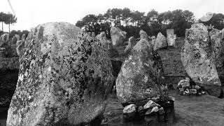 Carnac 1941 [upl. by Arras19]