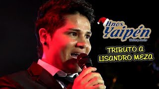 HNOS YAIPEN  TRIBUTO A LISANDRO MEZA  OFICIAL 2017  ᴴᴰ [upl. by Niwroc]