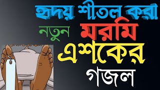 এশকের গজল চরমোনাইর ২০২২ [upl. by Natloz]