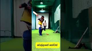 වෙල්ලා  Dunith Wellalage Practice [upl. by Enella186]