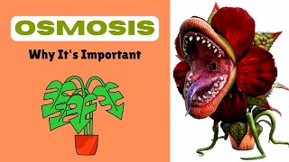 Role of Osmosis in Living Organisms I Cell Physiology Form 1Grade 8 [upl. by Addison]