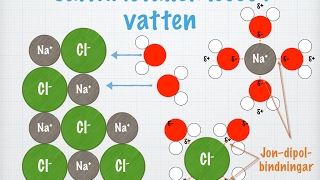 Salters löslighet i vatten gammal [upl. by Pardoes]