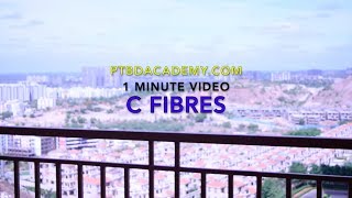 C Fibres  1 Minute Video [upl. by Alaik213]