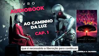 💡Audiobook  Ao caminho da luz 🟡 Parte 1 [upl. by Rabelais821]