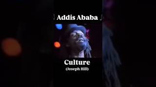 Culture  Addis Ababa reggaemusic dubreggae culture dubplate [upl. by Menken329]