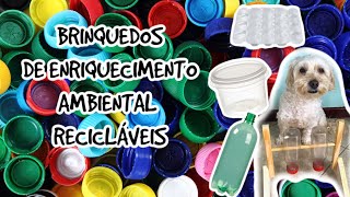 Brinquedos recicláveis de Enriquecimento Ambiental para o seu cão [upl. by Calvo]