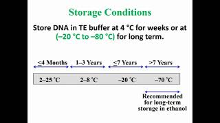 Storage Extracted DNA [upl. by Ahsenwahs]