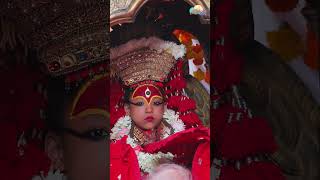 The Living Goddess KUMARI at Indra Jatra 2081 indrajatra nepal kumari culture newa fyp [upl. by Elie]