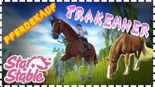 Star Stable【SSO】♥ Pferdekauf  Trakehner ♥ Peppino zieht endlich zu mir [upl. by Eseerehc]