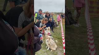 The REMAX Kite Festival [upl. by Yelekalb]