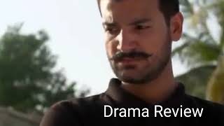 Pakistani Drama Review Zard Patton Ka Bunn  28th Jul 24  Full Episode Review [upl. by Gosney]