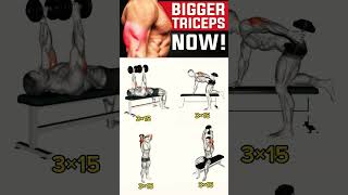 triceps workout  ghar par triceps kaise banaen  ghar par triceps ki exercise kaise karen [upl. by Knowlton]